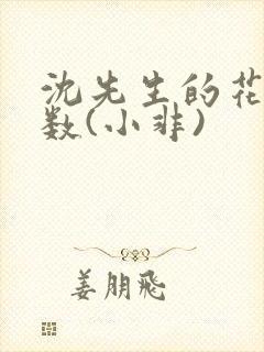 沈先生的花式调数(小非)