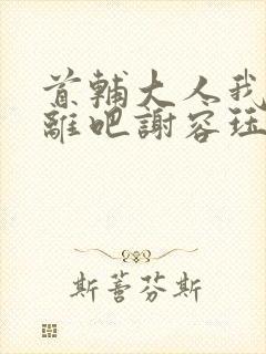 首辅大人我们和离吧谢容珏