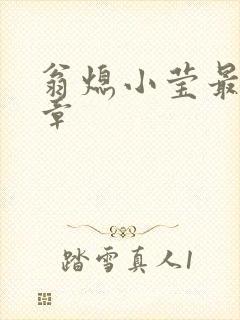 翁熄小莹最新节章