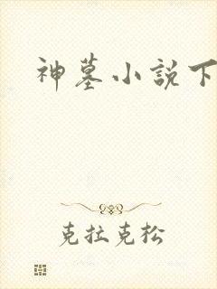 神墓小说下载
