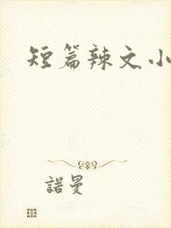 短篇辣文小说