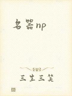 名器np