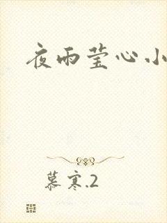 夜雨莹心小说