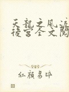 天龙之风流猎艳后宫全文阅读