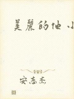 美丽的他 小说