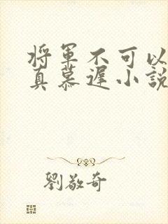 将军不可以魏云真慕迟小说笔趣阁