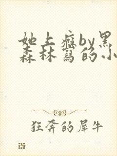 她上瘾by黑暗森林写的小说免费阅读无弹窗