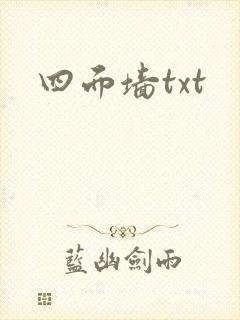 四面墙txt