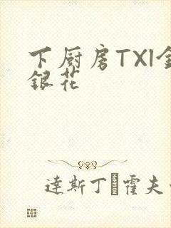 下厨房TXl金银花