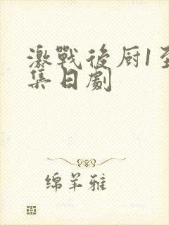 激战后厨1至5集日剧