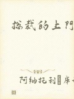 总裁的上门女婿