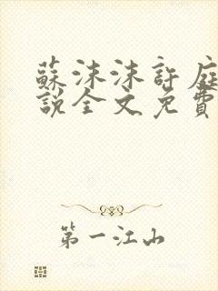 苏沫沫许庭川小说全文免费阅读