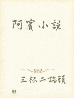 阿宾小说
