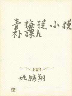 青梅从小摸到大补课h