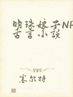 明珠娘子NPC古言小说