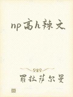 np高h辣文