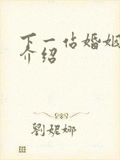 下一站婚姻剧情介绍