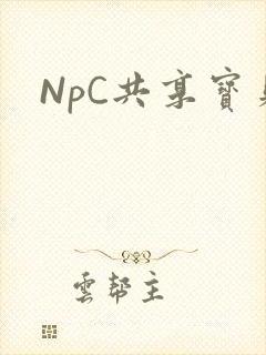 NpC共享宝贝