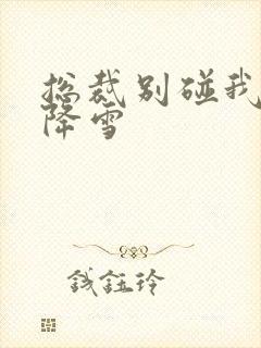 总裁别碰我 韩降雪