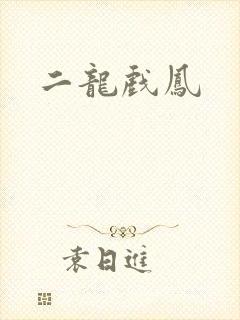 二龙戏凤