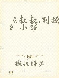 《叔叔,别撩我》小说