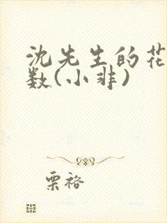 沈先生的花式调数(小非)