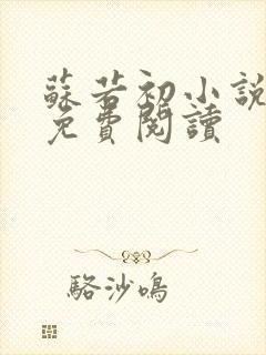 苏若初小说全文免费阅读