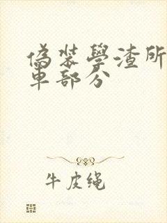 伪装学渣所有开车部分