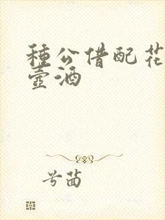 种公借配花间一壶酒