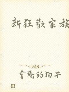 新狂欢家族小说