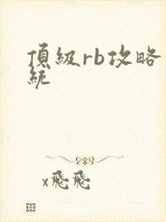 顶级rb攻略系统