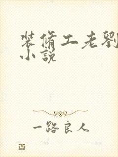 装修工老刘林雪小说