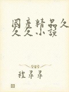 国产精品久久久久久小说