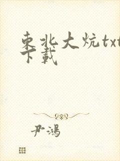 东北大炕txt下载