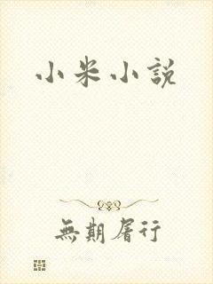 小米小说