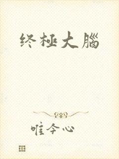 终极大脑