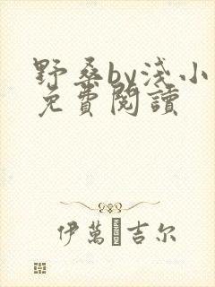 野桑by浅小说免费阅读