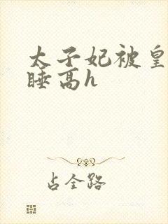 太子妃被皇上强睡高h