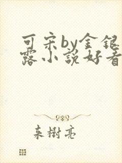可宋by金银花露小说好看吗