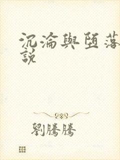 沉沦与堕落的小说