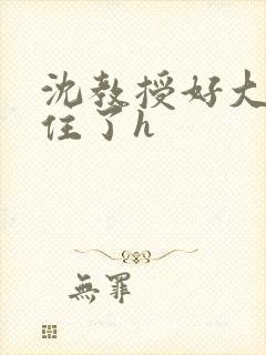 沈教授好大含不住了h