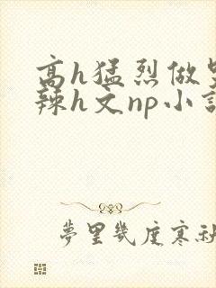 高h猛烈做哭高辣h文np小说