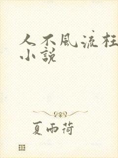 人不风流枉少年小说