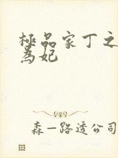 极品家丁之册母为妃