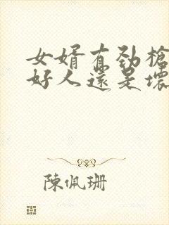 女婿有劲枪枪是好人还是坏人