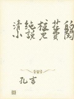 清纯校花的秘密小说免费阅读