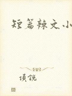 短篇辣文小说