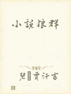 小说狼群