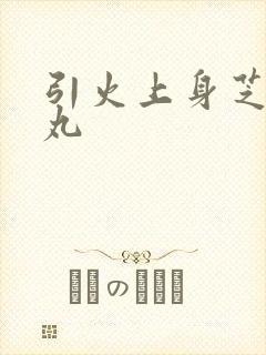 引火上身芝麻糖丸