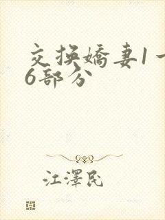 交换娇妻1一36部分